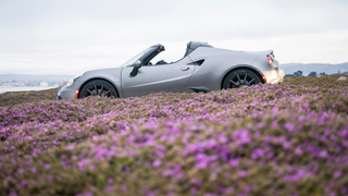 The Alfa Romeo 4C Is One Step Closer To Death